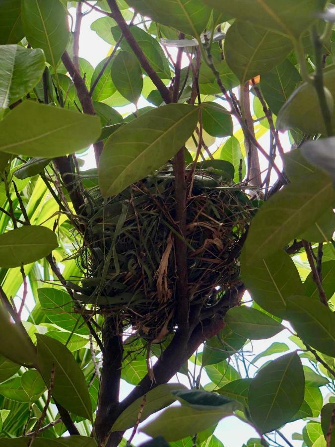 Nary Villa Siem Reap Eksteriør bilde